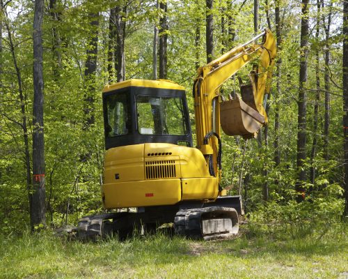 Mini Excavator Rentals